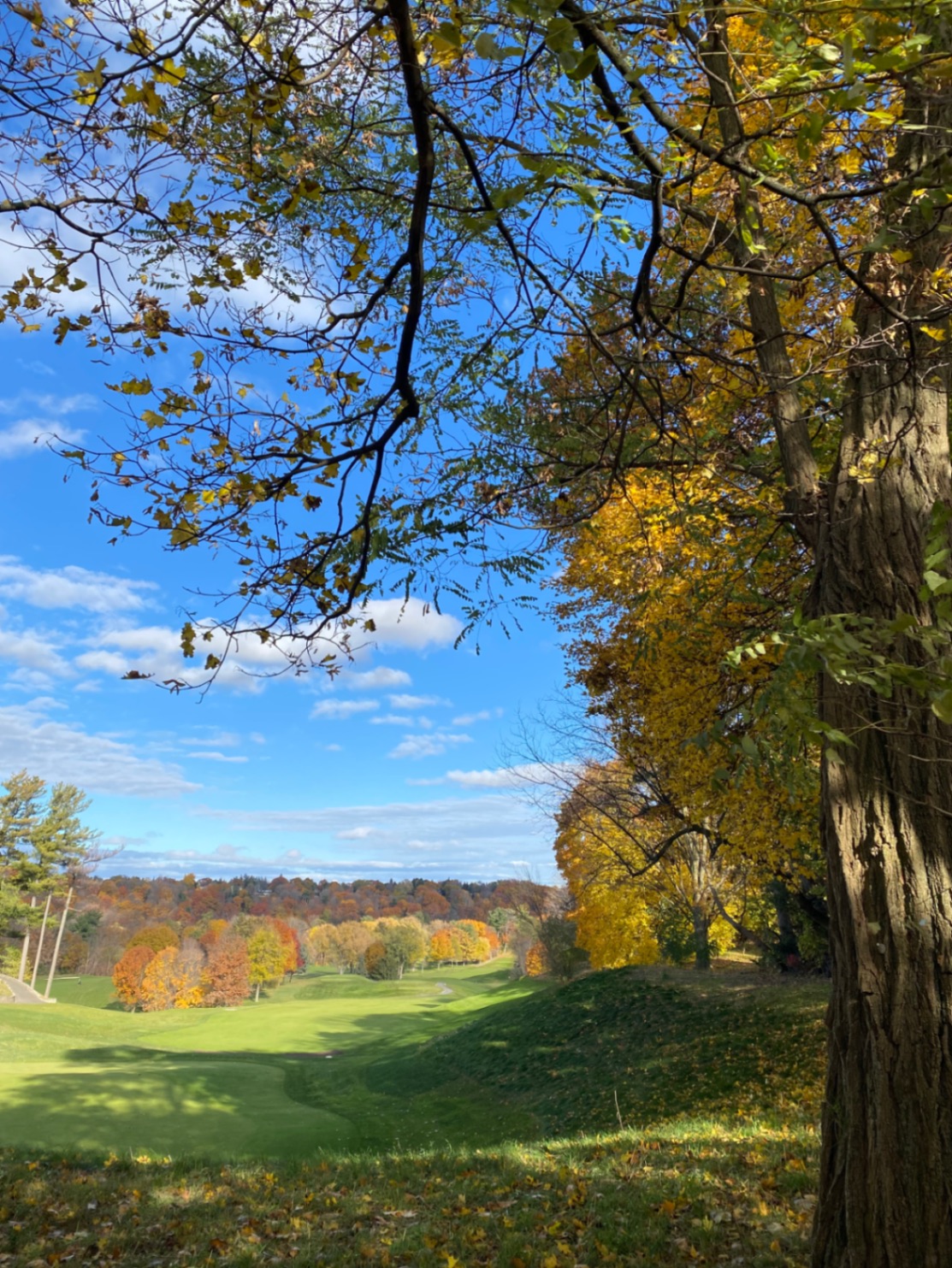 Don Valley in Autumn Dress