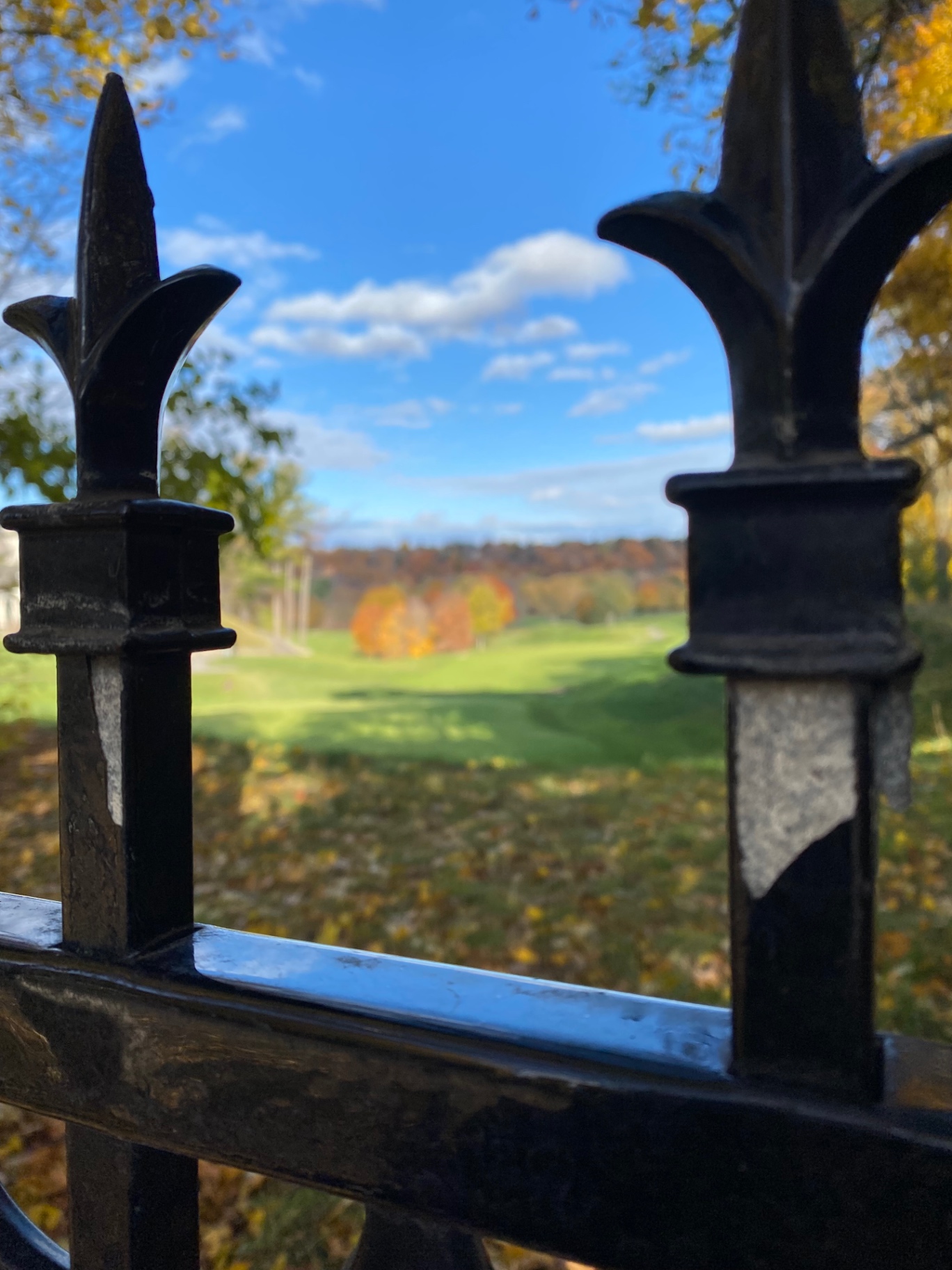 Through the Fence
