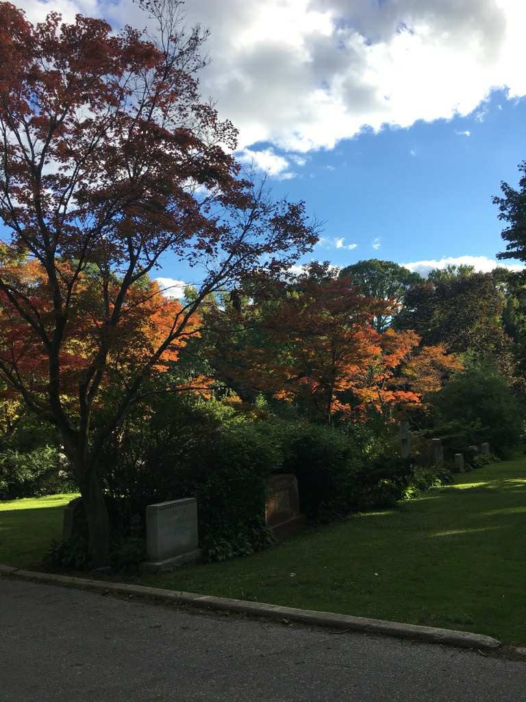 Fall leaves at Mount Pleasant Cemetery 