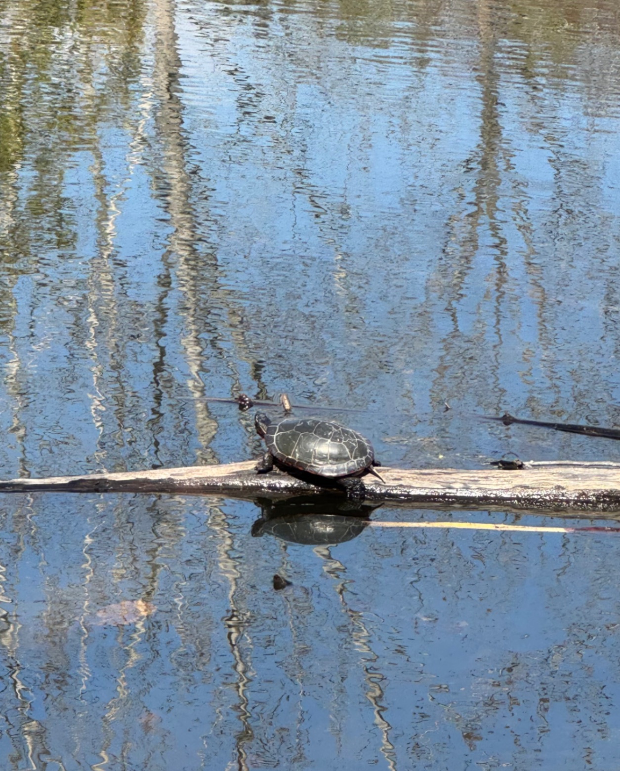 A peaceful sunny spring day .