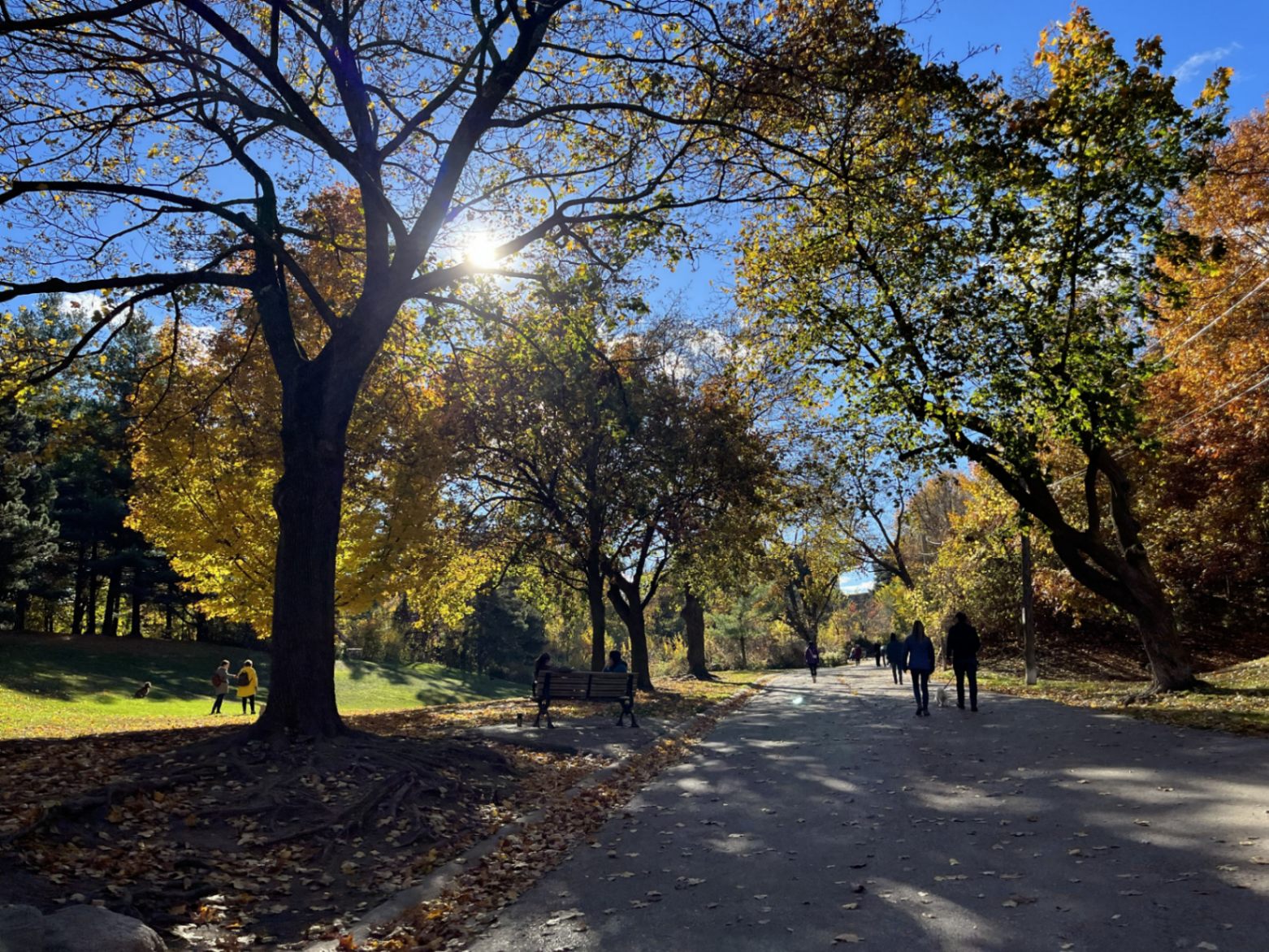 Sherwood Stroll