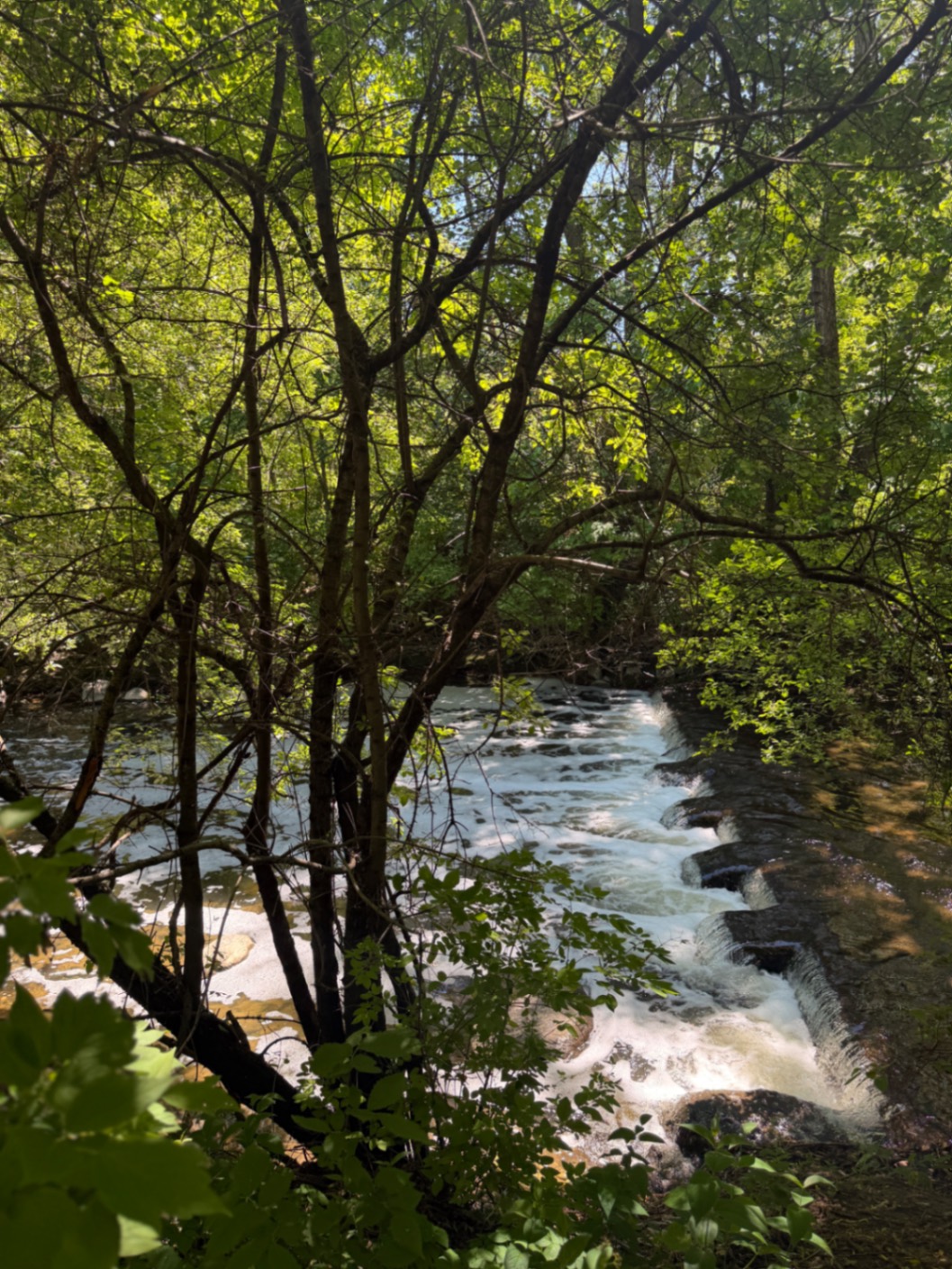 Nature is so beautiful and gentle to experience.
