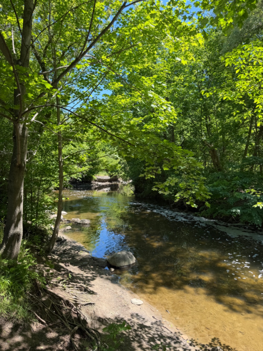 An Oasis, Right in the heart of our city.