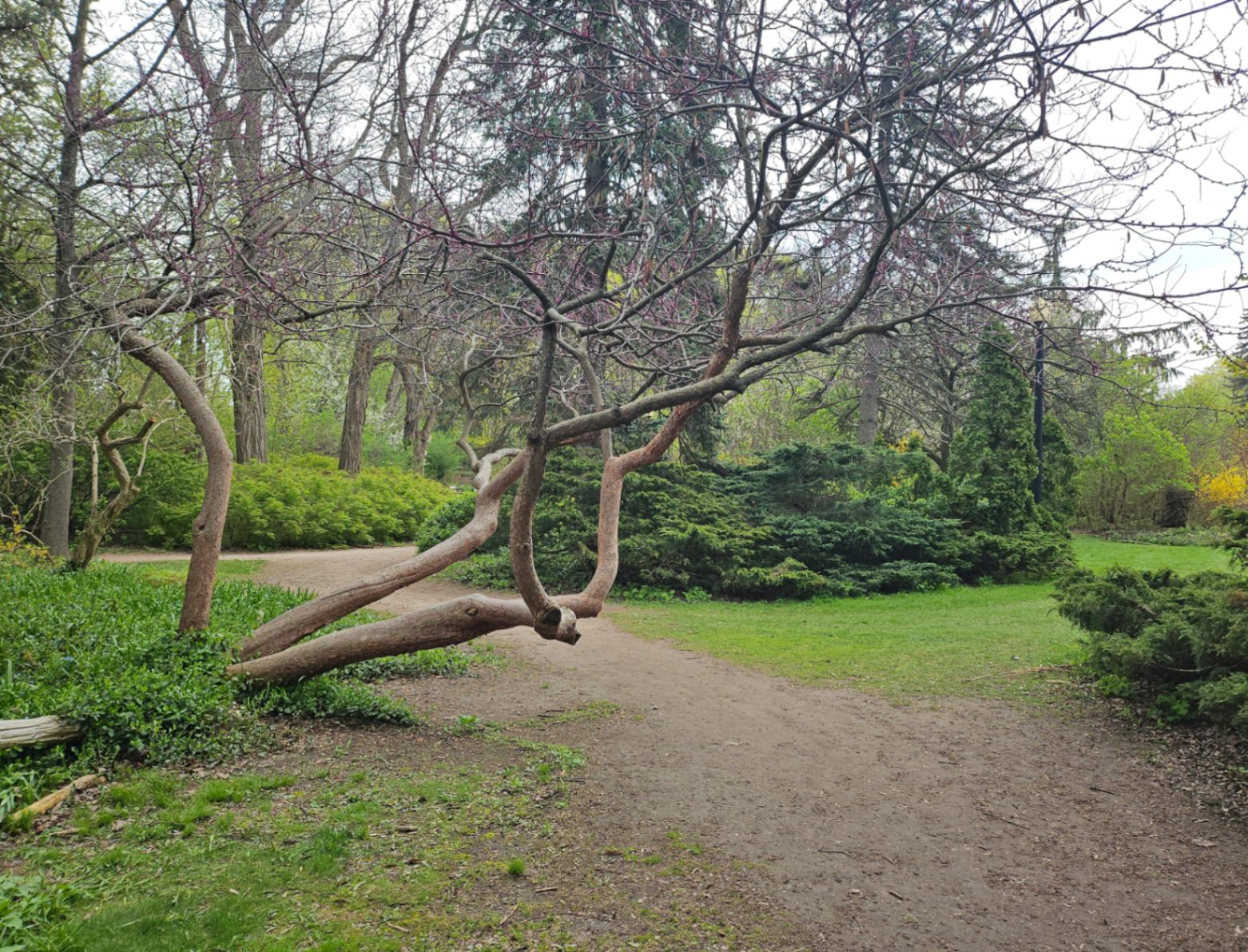 Embowered Path 